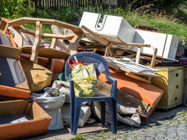 Best Electronics and E-Waste Disposal  in Duluth, MN